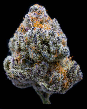 Trop Cherry